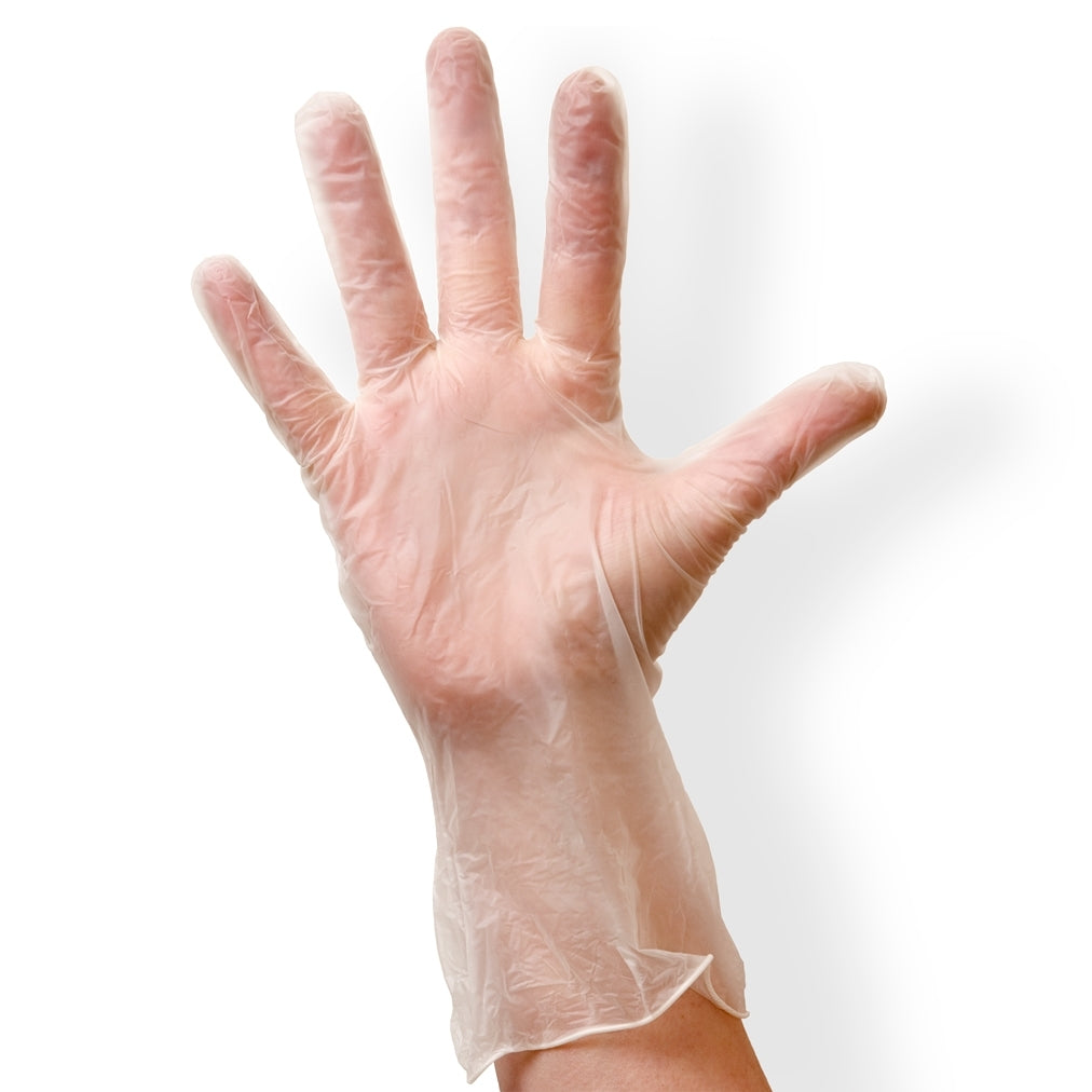 Clear Vinyl Glove (10 boxes of 100 pairs each)